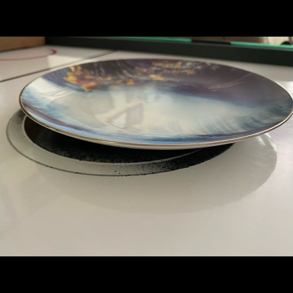Niagara Falls Canada Decorative Plate 8 inches - Picture 9 of 16